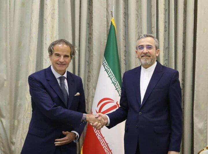 باقری در دیدار گروسی:
فعالیت‌های صلح آمیز هسته‌ای ایران در چارچوب تعهدات بین المللی است