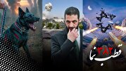قطب نما 382 / توهم بزرگ قطب نما 382 / توهم بزرگ